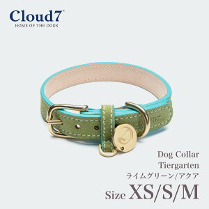 yCloud7 NEhZuzhbOJ[ eB[AKe CO[/ANA XS/S/MTCY Dog Collar Tiergarten Lime Green/Aqua pJ[  v U[ NEh7 COA