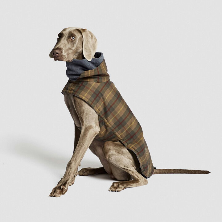 犬用コート Cloud7 クラウド7 Brooklyn ブルックリン防水グラファイト Graphite 犬用コート Cloud7 クラウド7 Brooklyn ブルックリン防水グラファイト Graphite