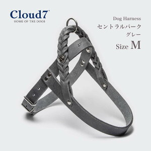 n[lX Ҋv Cloud7@NEh7 n[lX Zgp[N O[ MTCY ^HUNDELEINE CENTRAL PARK SADDLECOA