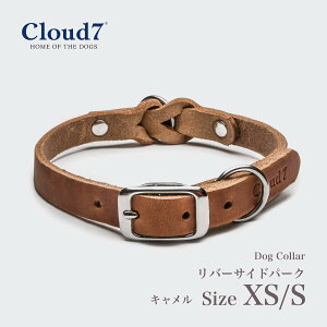  Cloud7 NEh7 hbOJ[o[TChp[N L XSESTCY yybgz yUObYz yCOAz