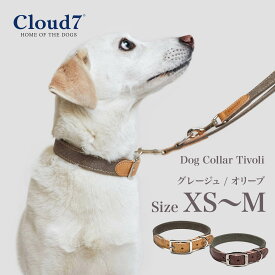 首輪 犬用 革 Cloud7 クラウド7 カラー チボリ グレージュ／オリーブ XS〜Mサイズ Dog Collar Tivoli 海外直輸入