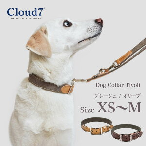  p v Cloud7 NEh7 J[ `{ O[W^I[u XS`MTCY Dog Collar Tivoli COA