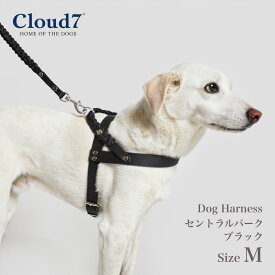 ハーネス 編革 Cloud7　クラウド7 ハーネス セントラルパーク ブラック Mサイズ 海外直輸入