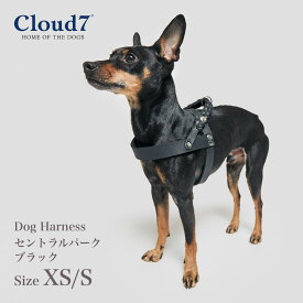ハーネス 編革 Cloud7　クラウド7 ハーネス セントラルパーク ブラック XS/Sサイズ 海外直輸入