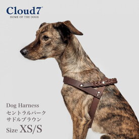 ハーネス 編革 Cloud7　クラウド7ハーネス セントラルパーク サドルブラウン XS/Sサイズ CENTRAL PARK SADDLE 海外直輸入