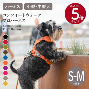 yP5{IzyVbv hbORyn[Qz^ ^ RtH[gEH[Nv 3.0 n[lX S,MTCYi S/44-56cm M/54-68cmjDOG CopenhagenyzyAEghAzyUzy