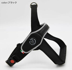 yg|eB Tre Pontizv Primo LTCY n[lX g |eB C^Auh C^A yybgzyUObYz