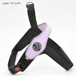 yg|eB Tre Pontizv Primo LTCY n[lX g |eB C^Auh C^A yybgzyUObYz