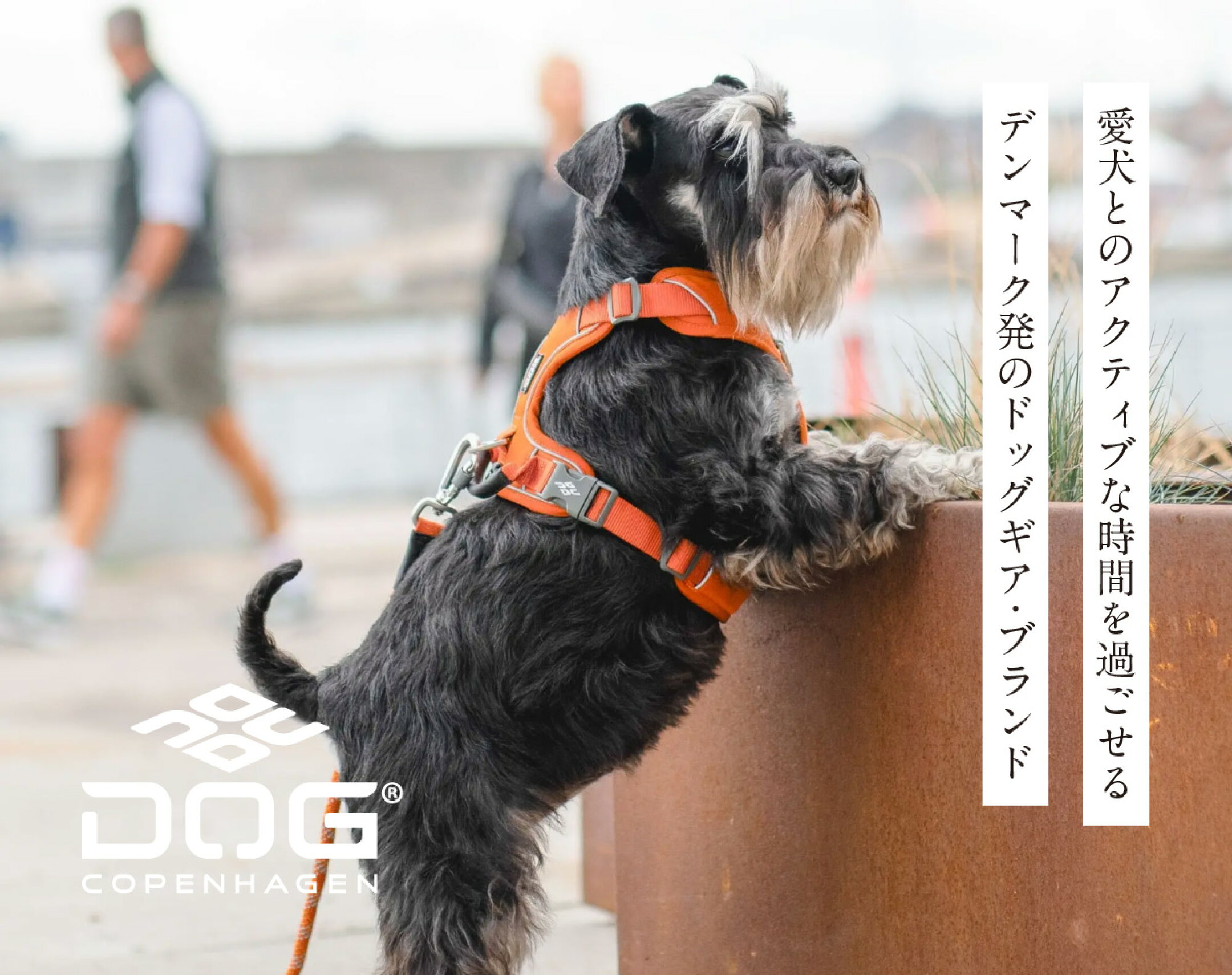 ドックコペンハーゲン