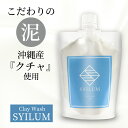 大容量150g 泥 洗顔 ドロ 洗顔料 洗顔フォーム クレイ どろ 泡立てネット 付き 大人 の 毛穴ケア たるみ毛穴 ボタニカル メンズ 毛穴 黒ずみ 沖縄産 クチャ配合 透明感 パーティを彩るご馳走や 日本製 まつエク 泡 Syilum オーガニック ネット ザラ付き 開き 用