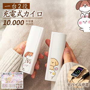 �_�������J�C���^�[�d���J�C�� �d�C�J�C�� 55�� 2�b���M 10000mAh ���o�C���o�b�e���[�t�� �����O�b�Y ���Ε����� 2�Z�b�g �J��Ԃ��g�p �[�d�J�C�� �J��Ԃ��G�R�J�C�� �ʋ� �ʊw �e�F��
