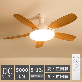 ＼半額以下Sale／シーリングファンライト LED 省エネ 節電 ファン付き照明 シーリングファン E26 扇風機 44W 5000lm 天井ライト 正逆回転 無階段調光調色 3階段風量 DCモーター タイマー機能 5枚羽根 空気循環 工事不要 薄型 おしゃれ 8-10畳 寝室 リモコン引掛け