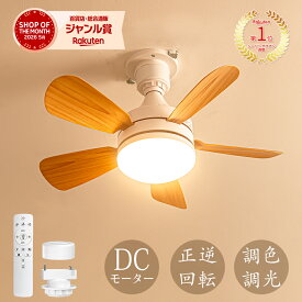 ＼楽天1位！限定クーポン配布／シーリングファン 3000lm シーリングファンライト リモコン付き 天井 シーリングライト ファン DCモーター LEDシーリングライト 薄型 ファン付 ライト 天井照明 木目調 扇風機 リビング 軽量 小型 静か 調光調色 E26 6-8畳 ダクトレール