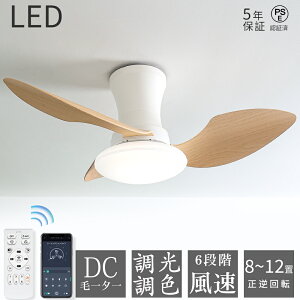 _N[|{bvT^V[Ot@Cg led 52W t@tƖ V@ 4,500lm 150W 8~12 KiF DC[^[ t] 铔 6i /^C}[ APP/R