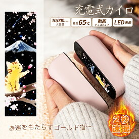 充電式カイロ あんか カイロ 電気あんか 大容量10,000mAh 40～65℃ LED電量確認 カイロ 充電式 カイロ 繰り返し 使える 2本セット 分離式 超軽量約114.2g ギフト プレゼント 通勤 通学 オフィス