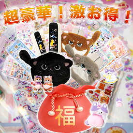 ＼激お得福袋／充電式カイロ あんか カイロ 電気あんか 大容量10,000mAh 40～65℃ LED電量確認 カイロ 充電式 カイロ 繰り返し 使える 2本セット 分離式 超軽量約114.2g ギフト プレゼント 通勤 通学 オフィス