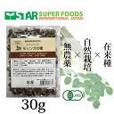 モリンガの種（自然栽培・在来種 ）30g モリンガ 種 スーパーフード 有機 オーガニック フィリピン産 もりんが モリン…
