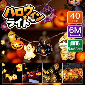 【全5種デザイン】ハロウィン ライト イルミネーション 電池式/USB給電式 ハロウィン 飾り 1.5m/3m/6m 壁飾り 装飾 屋外 オーナメント 窓 庭 部屋 玄関 自宅 ガーデン フェンス 電飾 キャンプ パーティー LED カボチャ かぼちゃ おばけ 電球 デコレーション こうもり
