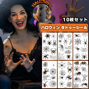 nEB ^gD[V[ 10Zbg ꃁCN RXv  nEB tFCX ACCN  {fB[XebJ[ h    RE D ܗ  D 