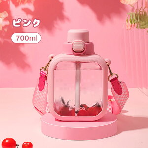 EH[^[{g qlp `  700ml gѕ֗ Rh~ ϔM e  Xg[ y ̎q  X|[c AEghA X|[c{g ʊw ʋ {g  