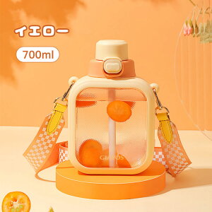 EH[^[{g qlp `  700ml gѕ֗ Rh~ ϔM e  Xg[ y ̎q  X|[c AEghA X|[c{g ʊw ʋ {g  