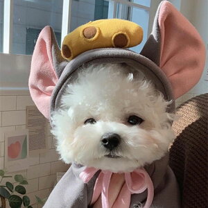  킢 p[J[ ybg hbOEGA L RXv WPbg p[J[ XEFbg t[ht y _炩 g[i[ AE^[ ^ U o ё΍ h H~ 