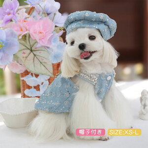  s[X t XJ[g hX  fj ybg hbOEFA x[Xt Xq  Pl p m ^ ^  L U o| CX^f o