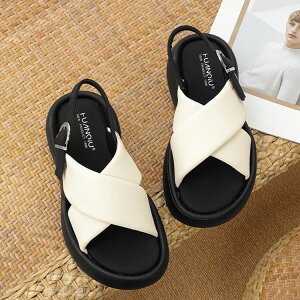 T_ fB[X  X|[cT_ xN Xgbv r[`T_ ɂȂ ₷ Ȃ C vbgtH[ s  L r RtH[gT_ Xj