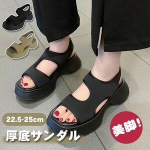 X|[cT_  T_ fB[X Xj[J[ [q[ ^ EFbWq[ C V[Y C ₷ ɂ RtH[gT_ ʋ ėp WMO SC 