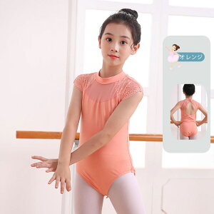 oGI^[h q LbY [X؂ւ V̑ WjA ǂp K[Y ̎q  oG K t oGEFA _Xߑ oGhX ߑ Kp XJ[gȂ 