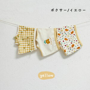 LbY pc  ̎q q u[tpc 3Zbg {NT[pc q  K[Y V[c ۈ牀 ct  w V[c Ci[   Rbg ʋC _ Xgb