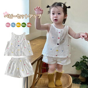 xr[ ̎q ZbgAbv  LbY q 2_Zbg V[gpc K[Y ^Ngbv Ԃ Zp[g m[X[u ĕ   i ؍ t ʉ 