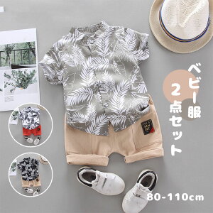 LbY Vc  V[gpc ㉺Zbg q {^Vc vg n[tpc 2_Zbg xr[ j̎q X[c JWA am  Ԃ gbvX Y{ 