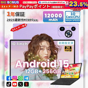 �^�u���b�g PC �{�� 10�C���` Android15 16+512GB Snapdrangon 865 Wi-Fi���f�� �ʘb�Ή� IPS�t�� sim�t���[ GMS�F�� �ݑ�Ζ� �l�b�g���� �l�C �������� �V�i