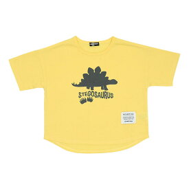 NEW 恐竜 クールドライ Tシャツ 7796K 吸水速乾 ベビードール BABYDOLL 子供服 ベビー キッズ 男の子 女の子