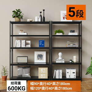 y24 10OFFN[|+5{PtzAlebert X`[bN bN 90cm×s40cm×180cm I[vbN 5i ^bN I bN ω׏d600kg ω׏d[I [bN X`[I Xe