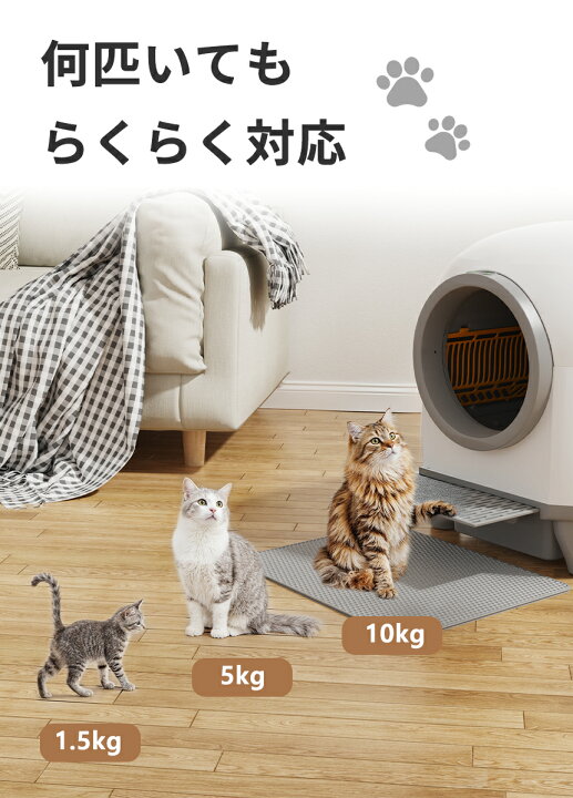 楽天市場】【4/17 10時迄 限定価格】【衝撃の赤字セール】Alebert 猫 