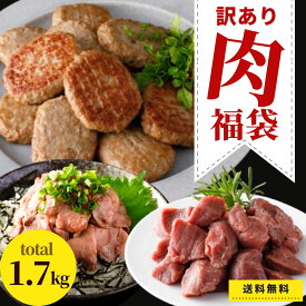 訳あり 肉 福袋 食品 3種 約1.7kg 冷凍食品 送料無料 業務用 アウトレット わけあり 焼成済み ハンバーグ ローストビーフ 和牛 黒毛和牛 オーストラリア産 牛肉 牛もも 牛モモ カレー用 シチュー用 惣菜 おかず お弁当 詰合せ セット 詰め合わせ