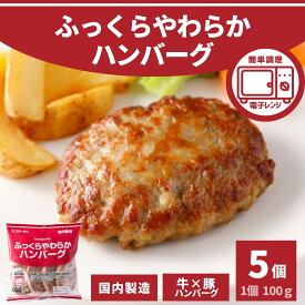 ハンバーグ 冷凍食品 大容量 100g × 5個 500g 国内製造 業務用 冷凍 お買い得 肉汁 肉屋のこだわり 旨味 ポイント消化 電子レンジ レンジ ふっくら 牛肉 豚肉 玉ねぎ 国産 お弁当 おかず お惣菜 お買い得 同梱 BBQ 焼成 加熱済 お花見 ピクニック 母の日