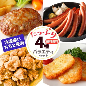 肉 冷凍食品 福袋 グルメ 肉 4種 セット 2.6kg ハンバーグ 竜田揚げ 唐揚げ ウインナー ハッシュポテト 冷凍総菜 送料無料 からあげ 大容量 業務用 惣菜 詰合せ 冷凍 お弁当 おかず パーティー 食品 ギフト おつまみ ギフト お花見 ピクニック オードブル