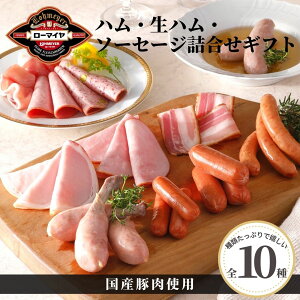お歳暮 ハム 生ハム ソーセージ 10種 詰合せ ギフト 送料無料 食品 肉 お肉 ローマイヤ 国産豚肉 国産 豚肉 プレゼント のし対応 のし 贈り物 内祝 自宅用 お取り寄せ 熨斗 お返し 御礼 内祝 御