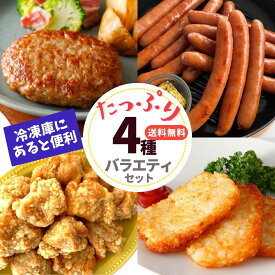 【 ポイント 10倍 7/11迄+ 先着150円OFF クーポン 有】 肉 冷凍食品 福袋 グルメ 肉 4種 セット 2.6kg ハンバーグ 竜田揚げ 唐揚げ ウインナー ハッシュポテト 送料無料 からあげ 大容量 業務用 惣菜 詰合せ 冷凍 お弁当 おかず 食品 ギフト おつまみ ギフト オードブル