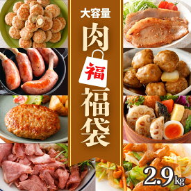 【先着150円OFF クーポン 対象】肉 福袋 8種 2.9kg 大容量 冷凍 食品 ローストビーフ ハンバーグ ミニ コロコロ チーズ DELIBURG 味付 豚 ホルモン 味噌漬 国産 豚ロース 肉だんご れんこん 肉詰め 惣菜 セット おつまみ