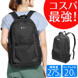 bN fB[X Y A4Ή y RpNgɎ^ׂ bNTbN  ʋ ʊw s h sobO AEghA Lvpi lC w