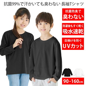 tVc LbY R LȂ z  hC UVJbg n  q j̎q ̎q ̑ ^ w X|[cEFA