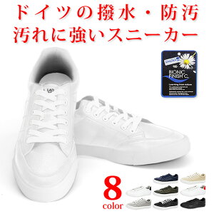 Xj[J[ Y fB[X hCc̝Eh̋Zp C V[Y ʋ ʊw EH[LOV[Y oRC gbLOV[Y oR AEghA Lv ނ lC  L