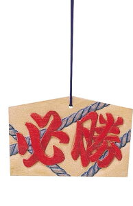 Gn (160X105X10mm)qt 2425 Gn F  iF 肢 GH  VN _ w   ~x qǂ wZ ct ۈ牀 H RH ~x Gߏi  