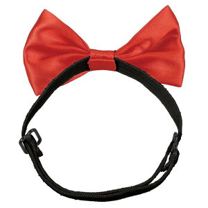 \tgTelN^C  18474 lN^C ǂ l TCY\ RXv ߑ  \ Cxg qǂ q