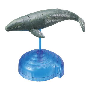 pYDEtBMA } 1 21270 pY  ̃pY tBMA C   NW T V` CJ qǂ q c V ċx Ղ m ̎q j̎q