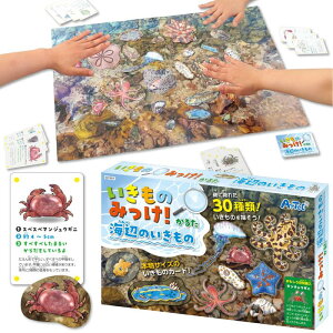 いきものみっけ!かるた うみべのいきもの 21657 かるた 海 生き物 カード ボード ゲーム 子ども 幼児 幼稚園 保育園 小学生 知育 玩具